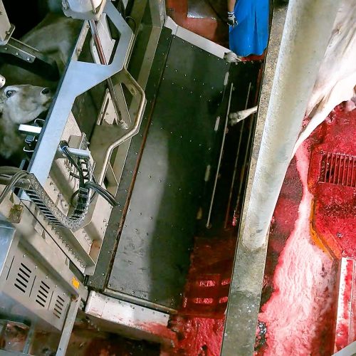 000034187-eioqx9ue9ee1f96svaij