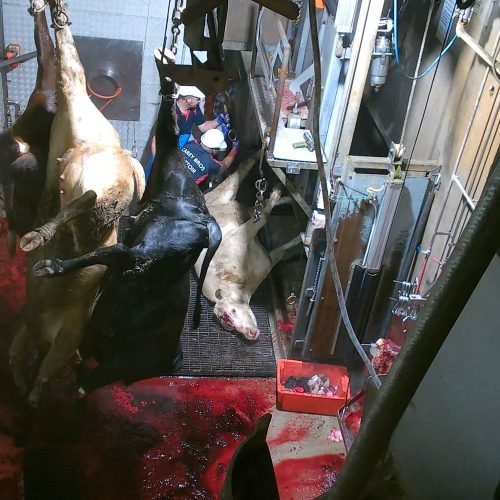 000034320-ntdkaykiui89f9asy8ms